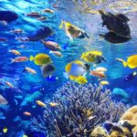北海道の水族館13選