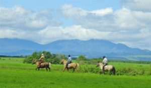 札幌近郊の牧場10選！
