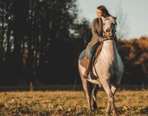 北海道で乗馬が体験できる施設10選
