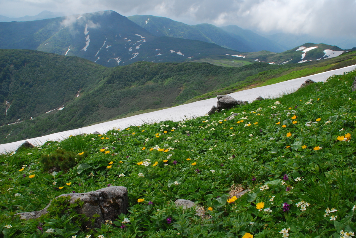 北海道　登山　第14位：暑寒別岳