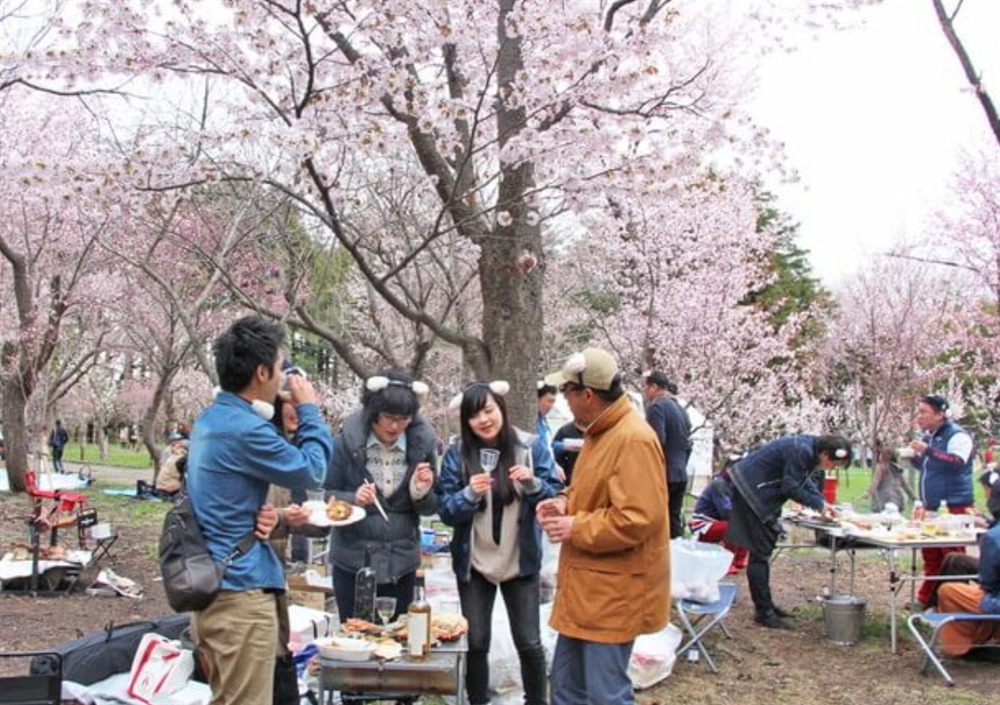 北海道の桜の開花は？名所4選を人気キャバ嬢が紹介：１．円山公園（札幌）