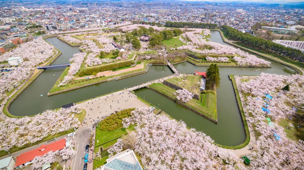 薄桜色に染まる五稜郭