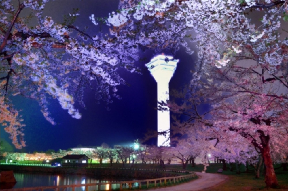 北海道の桜の開花は？名所4選を人気キャバ嬢が紹介：２．五稜郭（函館）