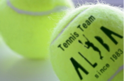 TENNIS TEAM ALBAイメージ図