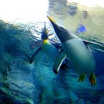 北海道の動物園10選