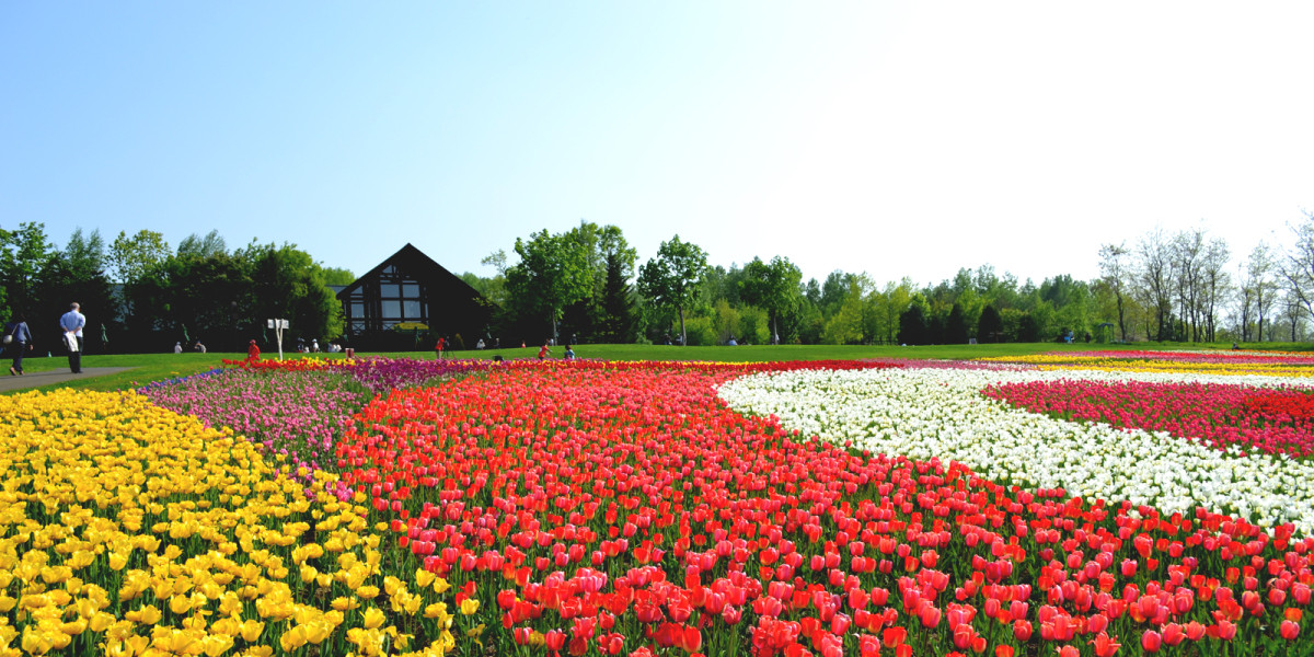 札幌の公園でママ推薦！家族で遊べるおすすめの公園TOP15：１２『滝野すずらん丘陵公園』〈水遊び・BBQ〉　（南区）