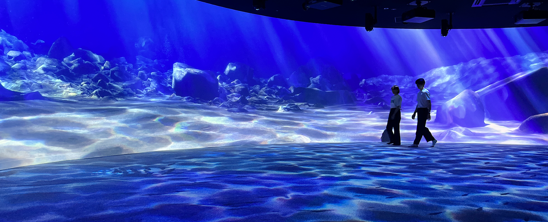 北海道の水族館へ行こう！トップキャバ嬢が選ぶ北海道のオススメ水族館ベスト13 第12位 AOAO SAPPORO