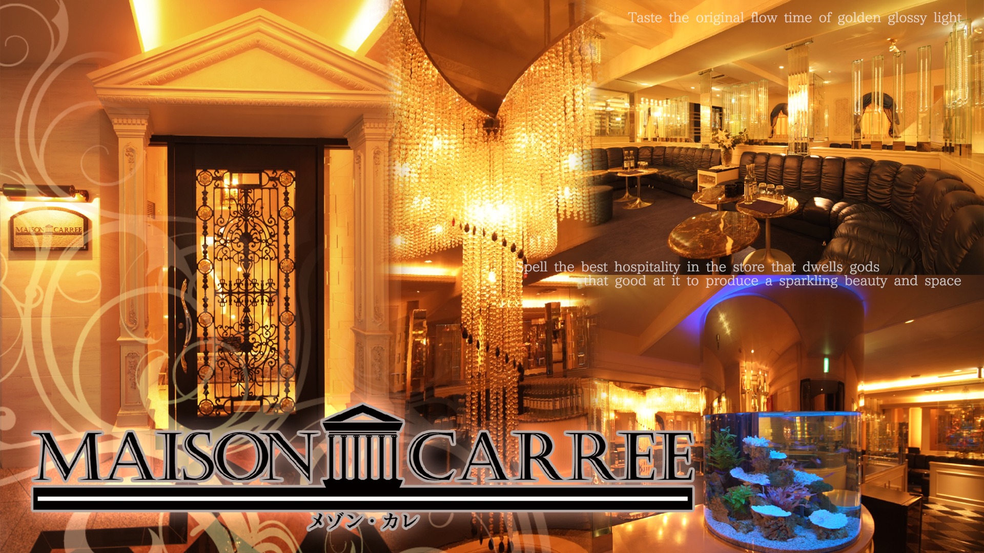 中洲　ニュークラブ　体入　20選：第9位　MAISON CARREE